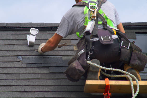 Best Storm Damage Roof Repair  in Edgewood, PA